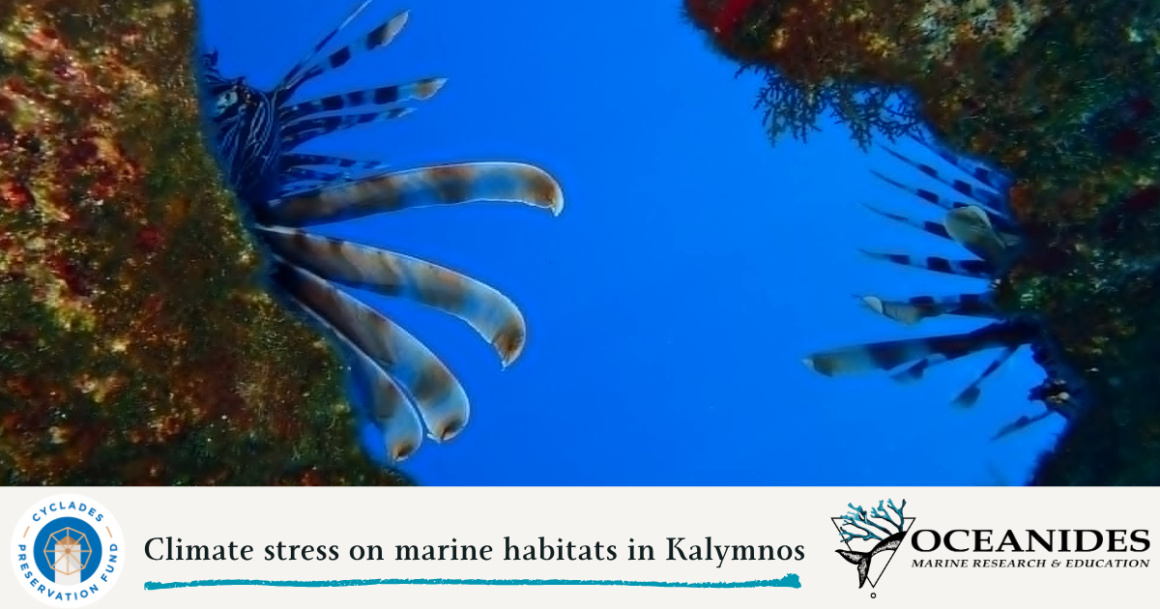 Climate stress on marine habitats in Kalymnos