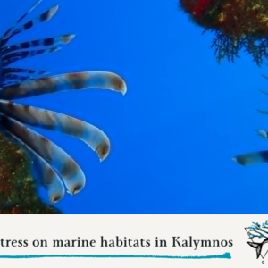 Climate stress on marine habitats in Kalymnos