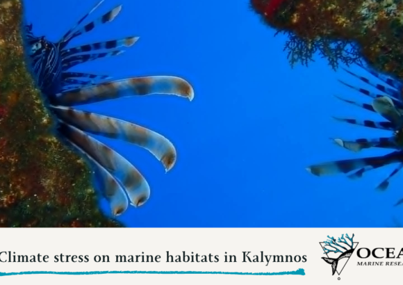 Climate stress on marine habitats in Kalymnos